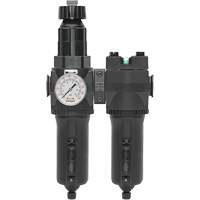 Filtre/r&eacute;gulateur + filtre coalescent drain manuel avec bol en m&eacute;tal Modulair 400, 1/4" NPT, 200 psi, Capacit&eacute; de 9,1 oz liq. Equipex