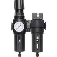 Filtre/d&eacute;tendeur & filtre coalescent Modulair 300 avec bol standard & drain manuel, 3/8" NPTF, 150 psi, Capacit&eacute; de 5,12 oz liq Equipex