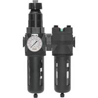 Filtre/d&eacute;tendeur & filtre coalescent Modulair 400 avec bol standard & drain manuel, 3/4" NPTF, 150 psi, Capacit&eacute; de 9,13 oz liq. Equipex