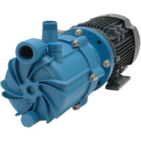 Self-Priming Magnetic Drive Pump with Carbon Bushing Equipex