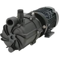 Self-Priming Magnetic Drive Pump with Carbon Bushing Equipex