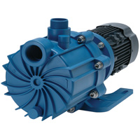 Self-Priming Magnetic Drive Pump with Carbon Bushing Equipex