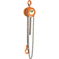 Chain Hoist, 10' Lift, 1000 lbs. (0.5 tons) Capacity, Steel Chain Equipex
