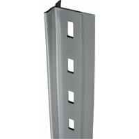 Montant en T pour rayonnage enclenchable Interlok, Acier, Hauteur 112" Equipex