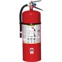 Extincteur d'incendie, ABC, Capacit&eacute; 20 lb Equipex