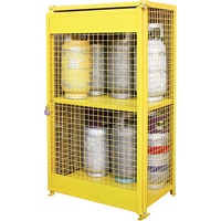 Gas Cylinder Cabinets, 12 Cylinder Capacity, 44" W x 30" D x 74" H, Yellow Equipex