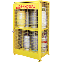 Gas Cylinder Cabinets, 12 Cylinder Capacity, 44" W x 30" D x 74" H, Yellow Equipex