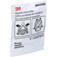 Respirator Cleaning Wipes, Wipes Equipex