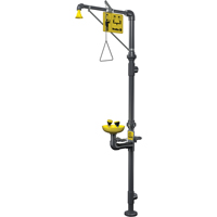 Corrosion-Resistant Emergency Shower & Eye/Face Wash Station Equipex