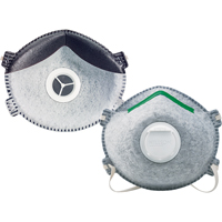 Disposable Respirators