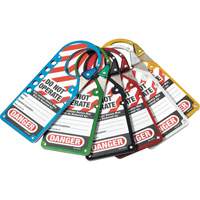 Labeled Snap-on Hasps, Silver Equipex