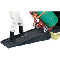Poly-Ramp Ribbed Ramp Equipex
