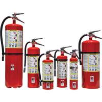 Extincteur d'incendie, ABC, Capacit&eacute; 30 lb Equipex