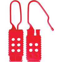 Safety Lockout Hasps, Silver Equipex