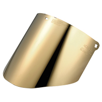 Visi&egrave;re Total Performance, Polycarbonate, Teinte Vert Equipex