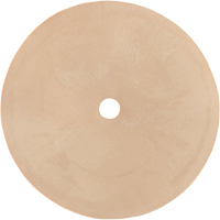 Survivair&reg; Inhalation Valve Equipex