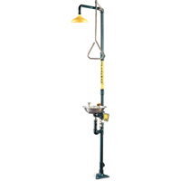 Combinaison de douche & douche oculaire/faciale a&eacute;r&eacute;e Safe-T-Zone Equipex