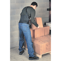 Bodybelt, Elastic, Small Equipex