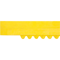 Border Ramp for Matting Equipex