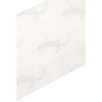 Premium Anti-Skid Tape, 4" x 60', Clear Equipex