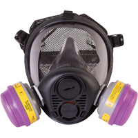 North&reg; RU6500 Series Full Facepiece Respirator, Silicone, Small Equipex