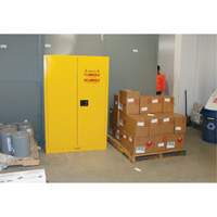 Flammable Storage Cabinet, 45 gal., 2 Door, 43" W x 65" H x 18" D Equipex