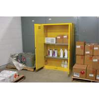 Flammable Storage Cabinet, 45 gal., 2 Door, 43" W x 65" H x 18" D Equipex