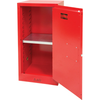 Armoire pour peintures et encres, 20 gal. Equipex