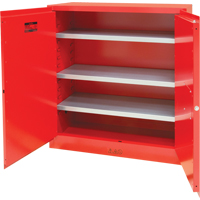 Armoire pour peintures et encres, 45 gal., 3 tablettes Equipex