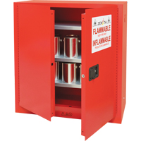 Armoire pour peintures et encres, 45 gal., 3 tablettes Equipex