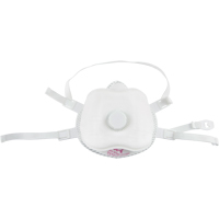 Respirateur contre les particules, P100, Certifi&eacute; NIOSH, Moyen/grand Equipex