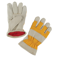 Premium Winter-Lined Work Gloves, Medium, Grain Pigskin Palm, Foam Fleece Inner Lining Equipex