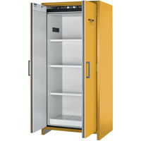 Armoire d'entreposage 90 minutes s&eacute;curitaire et conforme &agrave; la norme EN, 30 gal., 2 Porte(s), 35,16" La x 76,89" h x 24,21" p Equipex