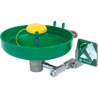 Axion&reg; Eye/Face Wash Station, Wall-Mount Installation, Plastic Bowl Equipex