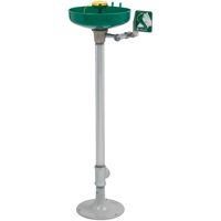 Axion&reg; Eye/Face Wash Station, Pedestal Installation, Plastic Bowl Equipex