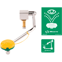 Eye/Face Wash Station, Sink Mount Installation Equipex