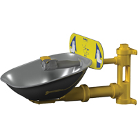 Poste de douche oculaire Halo, Installation Montage mural, Bol Acier inoxydable Equipex