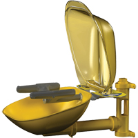 Postes de douche oculaire/faciale Halo, Installation Montage mural, Bol Plastique Equipex