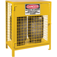 Gas Cylinder Cabinets, 2 Cylinder Capacity, 30" W x 17" D x 37" H, Yellow Equipex