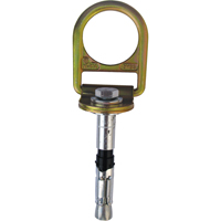 PRO Concrete D-ring Anchor with Bolt, Concrete/D-Ring, Permanent Use Equipex