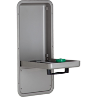 Eye/Face Wash Station, Wall-Mount Installation, Stainless Steel Bowl Equipex