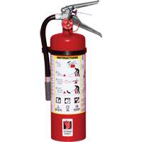 Extincteur d'incendie, ABC, Capacit&eacute; 5 lb Equipex