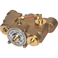 Thermostatic Mixing Valves, 78 GPM Equipex