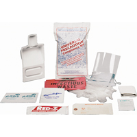 Fluid Spill Clean-Up Kit, Hazmat, Bag, None Absorbancy Equipex