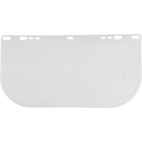 F20 Clear Flat Faceshield, Polycarbonate, Clear Tint Equipex