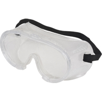 Z300 Safety Goggles, Clear Lens, Anti-Scratch, Direct Vent Equipex
