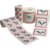GHS Pictogram Labels, Paper, Roll, 2" L x 2" W Equipex