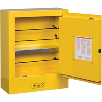Mini-armoires de s&eacute;curit&eacute; Sure-Grip EX pour produits inflammables, 2 gal., 1 Porte(s), 17" La x 22" h x 8" p Equipex