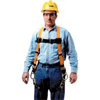 Harnais non extensible Miller Titan II, Certifi&eacute;e CSA, Classe AP, Moyen, Cap. 400 lb Equipex