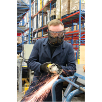 Z2300 Series Safety Shield Goggles, Clear Lens, Anti-Fog, Indirect Vent Equipex